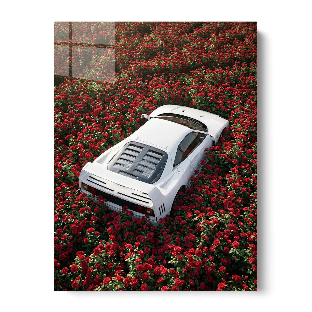 Luxury Among Roses