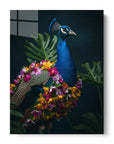 Peacock Flowers