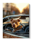 Pitbull Car