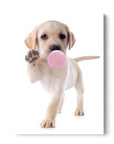 Puppy Bubblegum