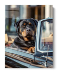 Rottweiler Car