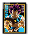 Vegeta Super Saiyan God