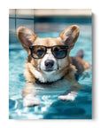 Welsh Corgi Swimming