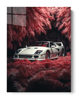 White Ferrari F40