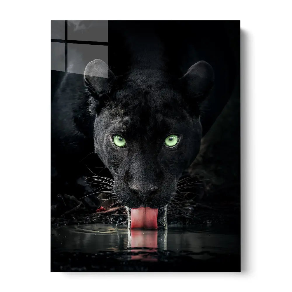 Black Panther Drinking