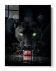 Black Panther Drinking