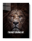 I'm Not Giving Up