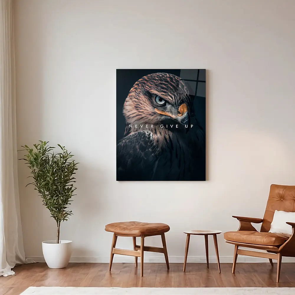 Hawk Never Give Up