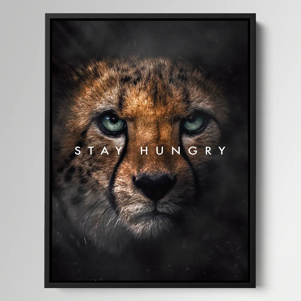 Cheetah Stay Hungry