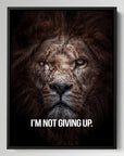 I'm Not Giving Up