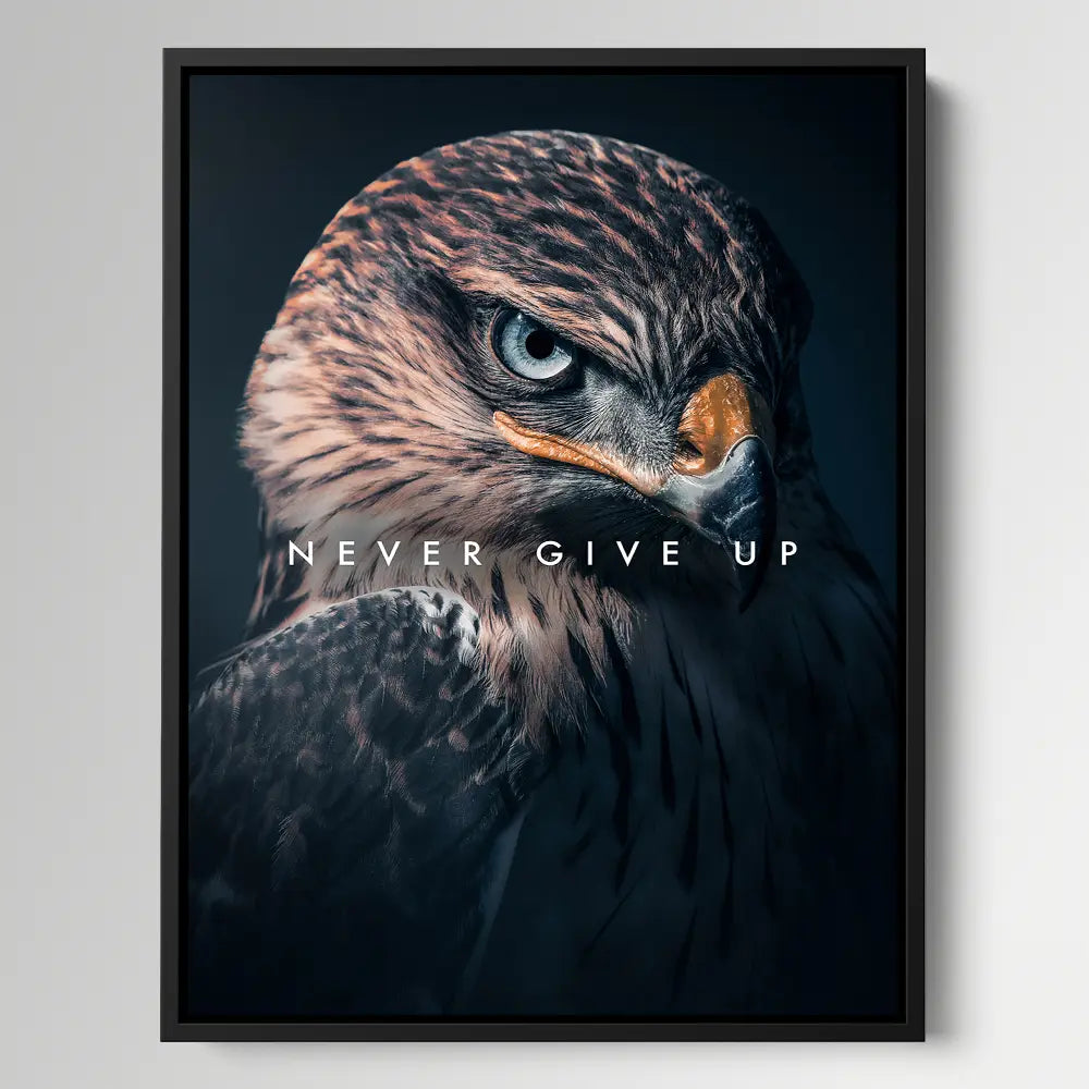 Hawk Never Give Up