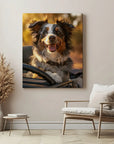 Border Collie Car