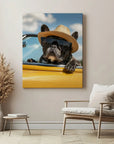 Cool French Bulldog