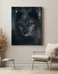 Fox Black