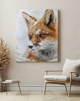 Fox Snow