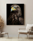 Golden Eagle Black Portrait
