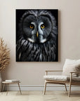 Great Grey Owl Black Portrait