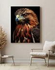 Red Tailed Hawk Black Portrait