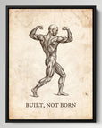 Built Not Born