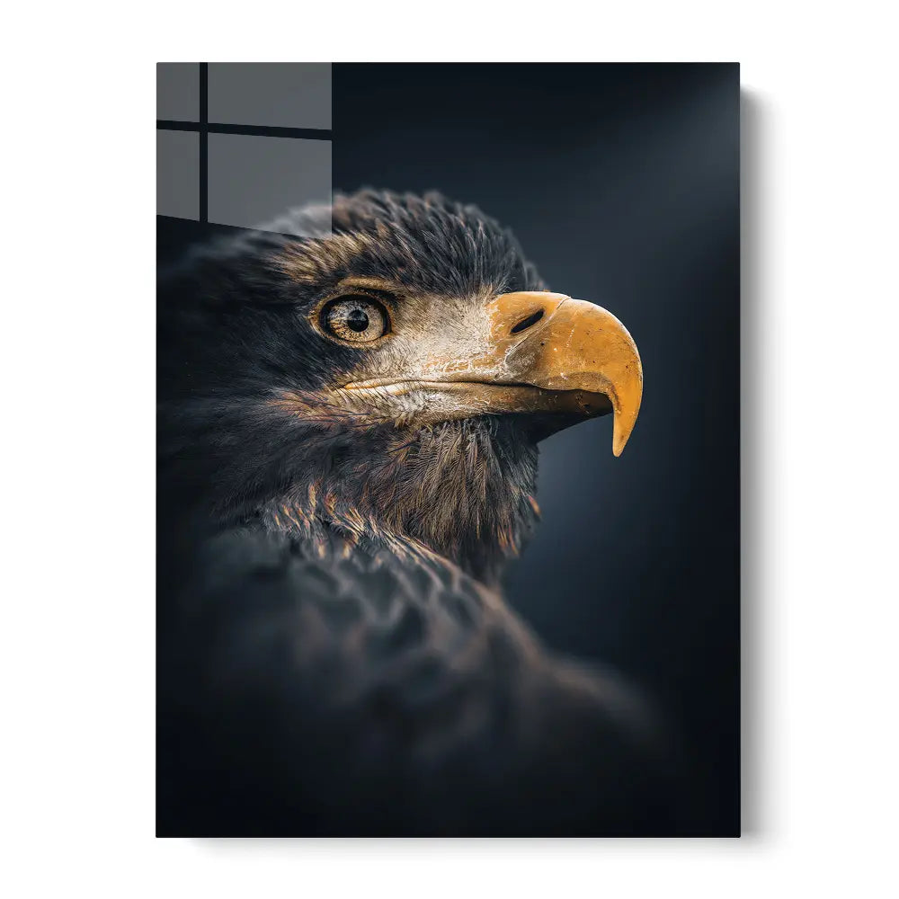Eagle Night Sight