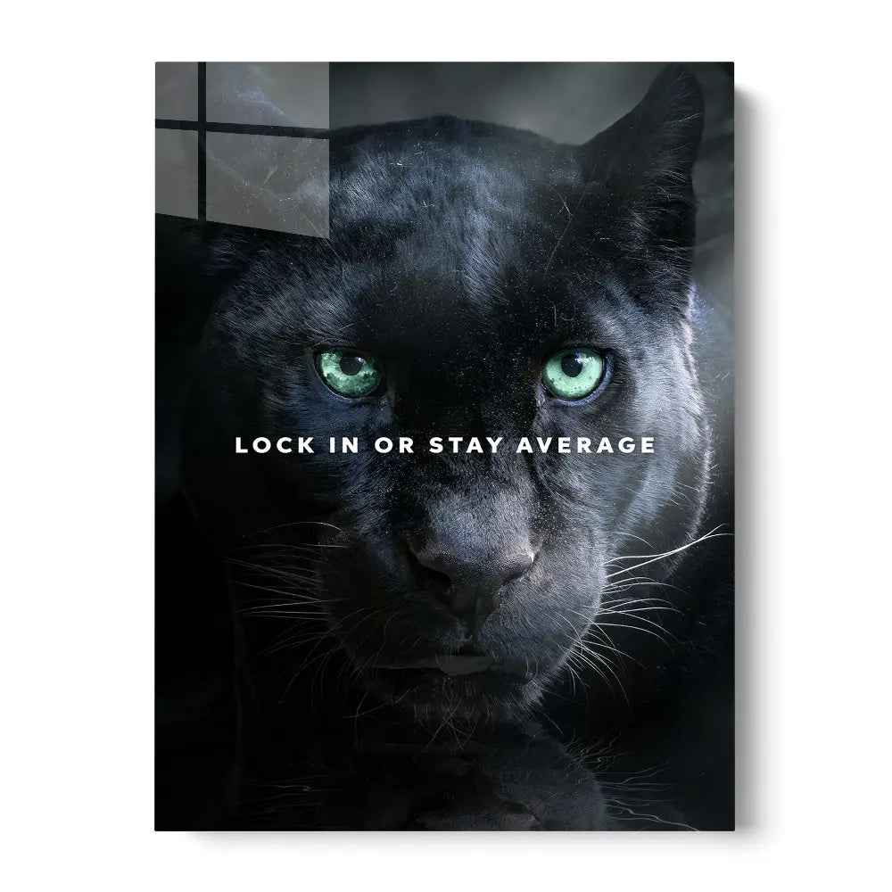 Panther Lock In Stay Average