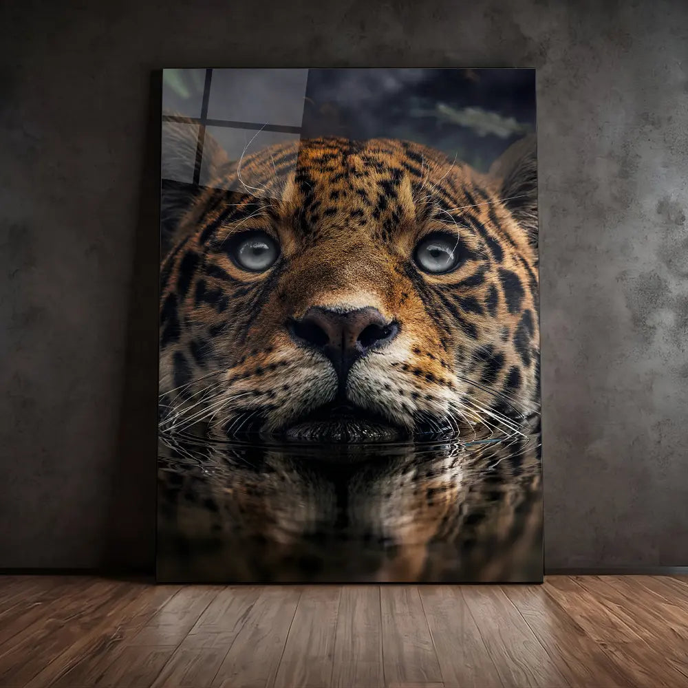 Jaguar Swimming