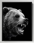 Bear Iced Out