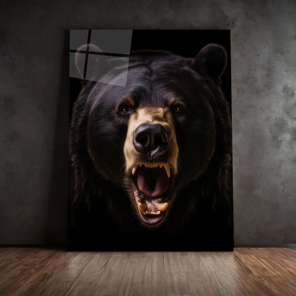 American Black Bear Black Portrait