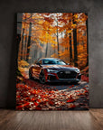 Autumn Colors Audi