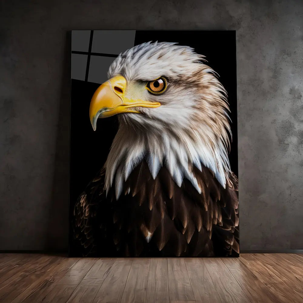 Bald Eagle Black Portrait