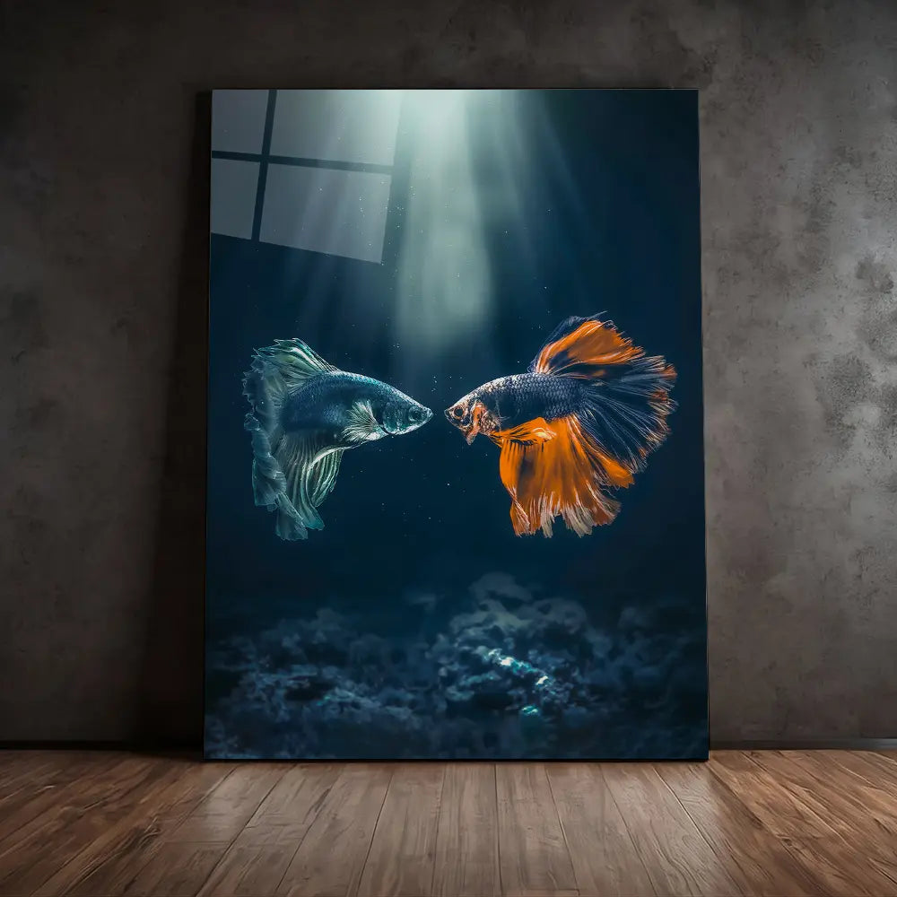 Betta Meeting