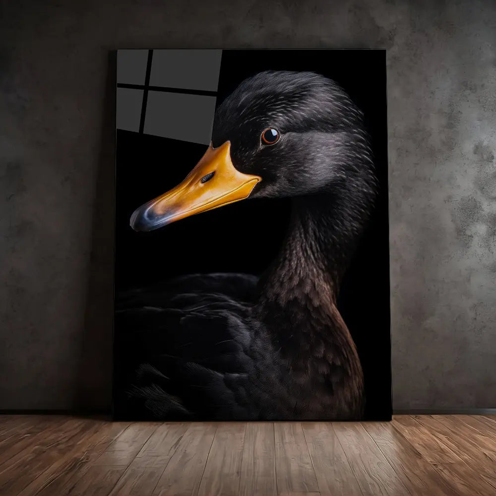 Black Duck Black Portrait