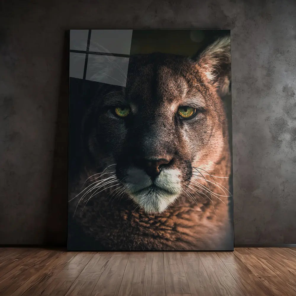 Bobcat Portrait