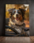Border Collie Car