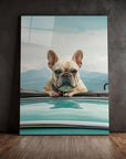 Bulldog Cabrio Car