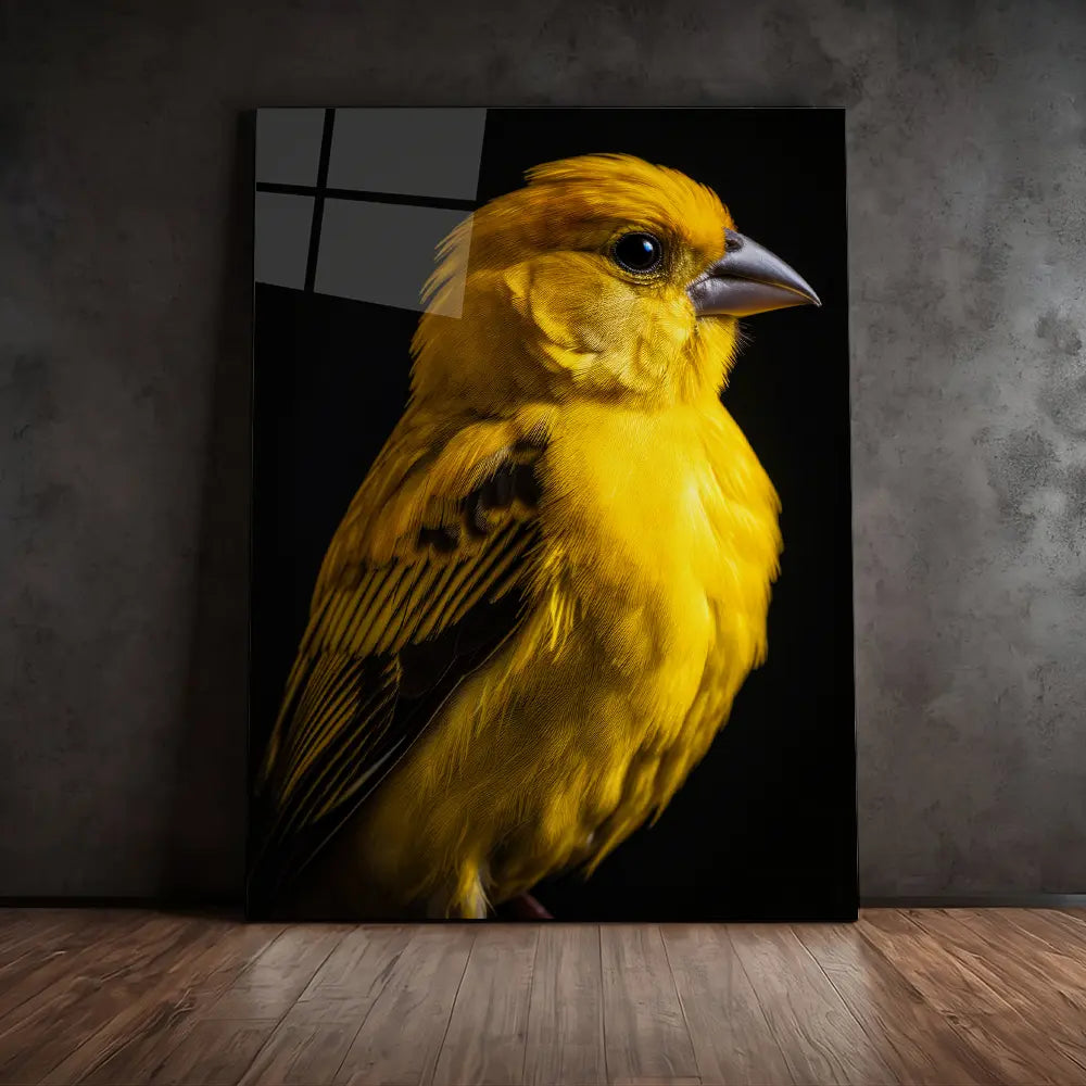 Canary Black Portrait