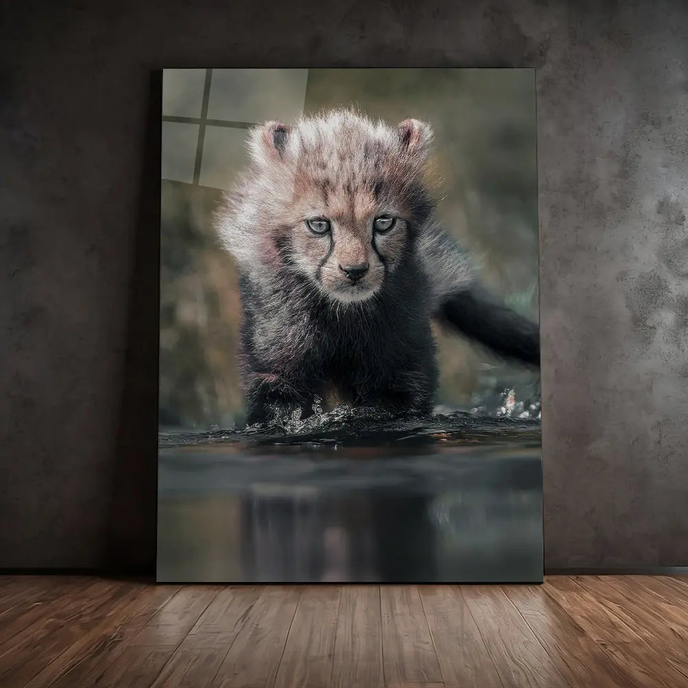 Cheetah Cub Water