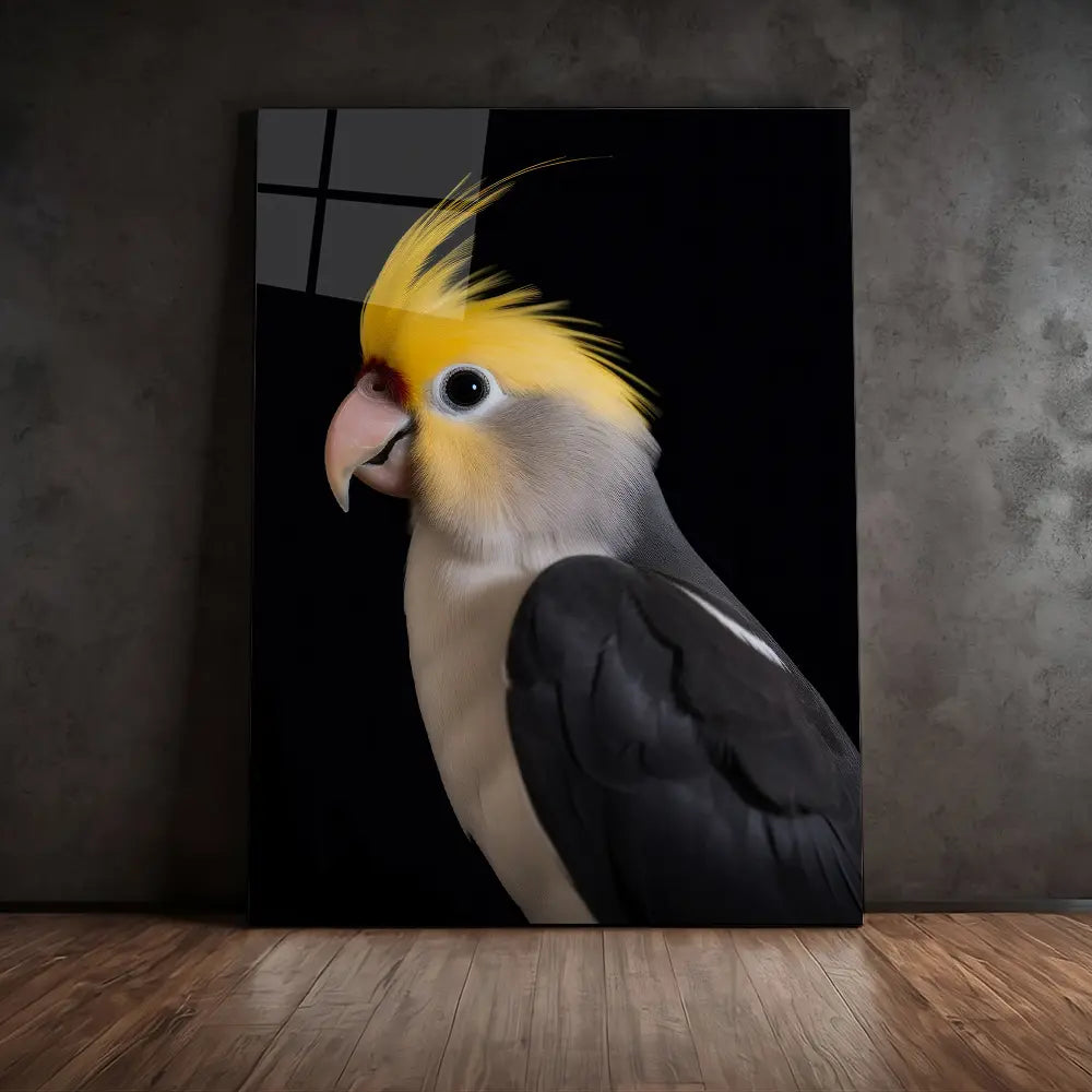 Cockatiel Black Portrait