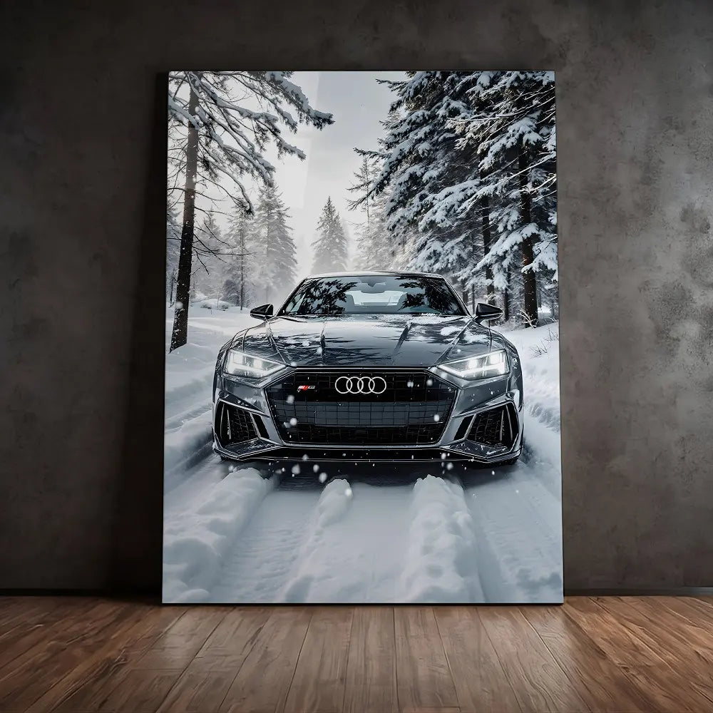 Crystal Audi Snow