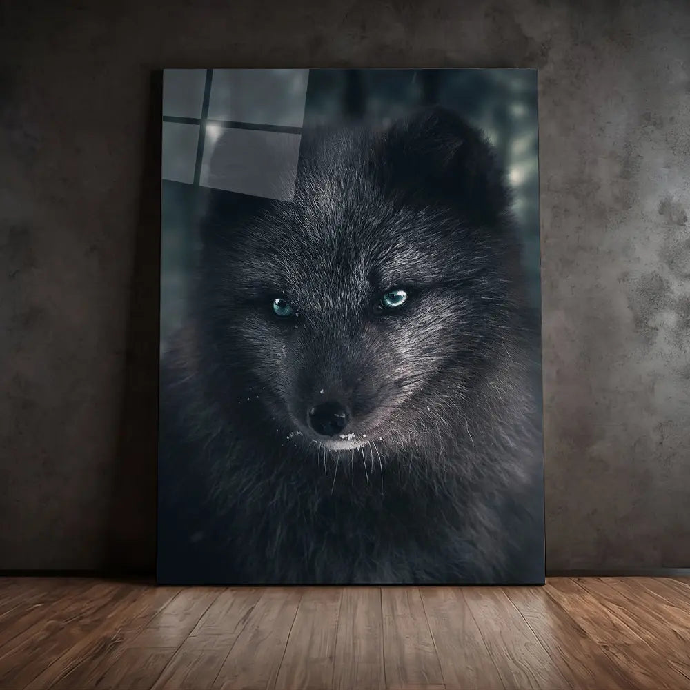 Fox Black