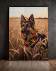 German Shepherd Wheat