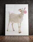 Goat Bubblegum