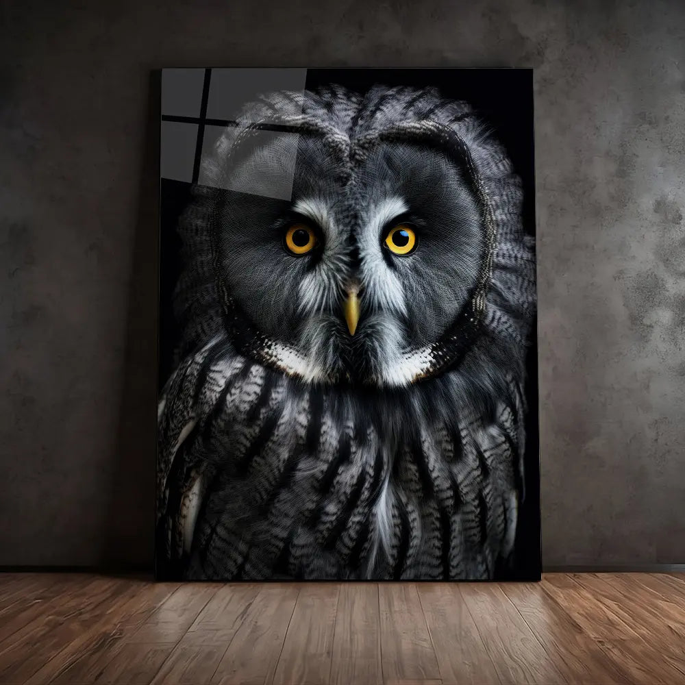 Great Grey Owl Black Portrait