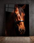Horse Black Portrait