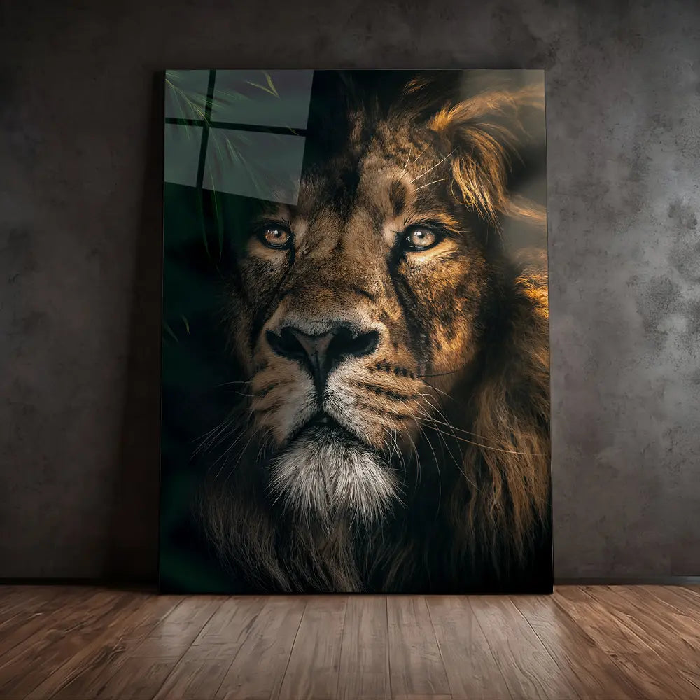 Jungle Lion