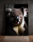 Koala Black Portrait
