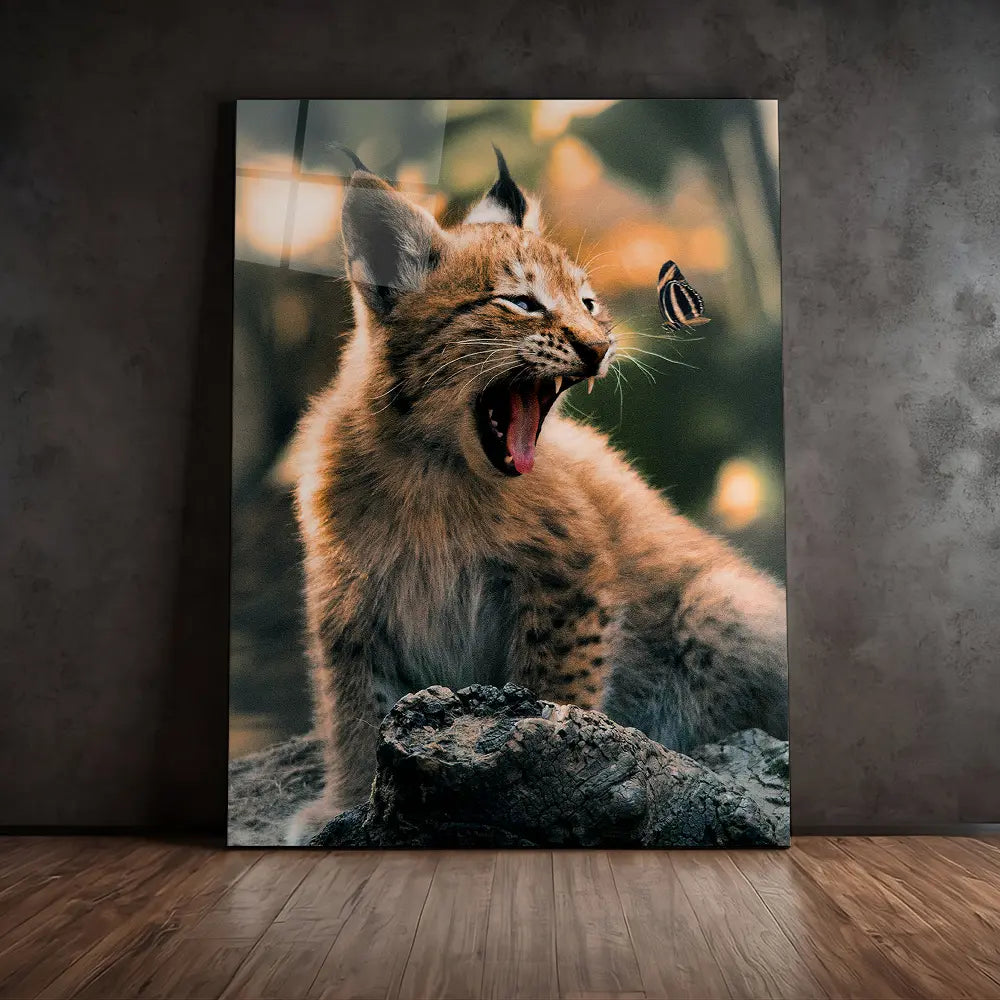 Lynx Cub Butterfly