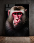 Macaque Black Portrait