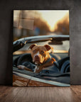 Pitbull Car
