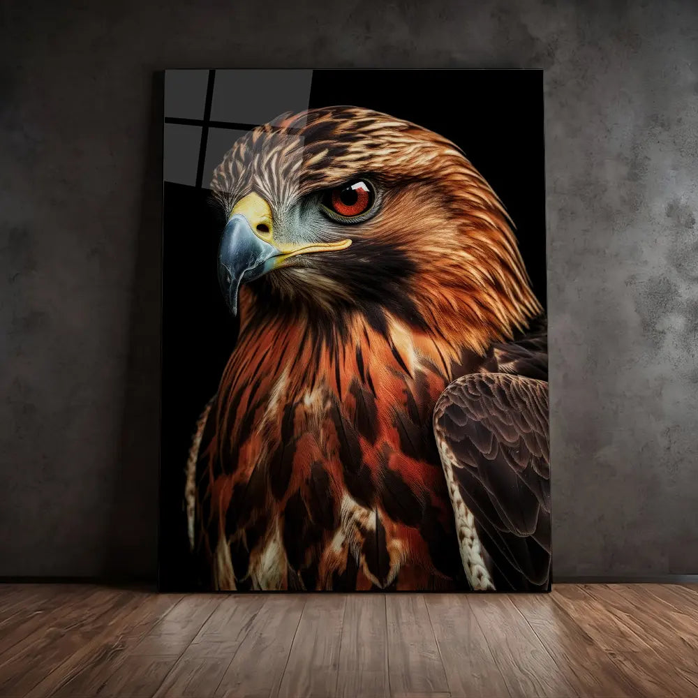 Red Tailed Hawk Black Portrait
